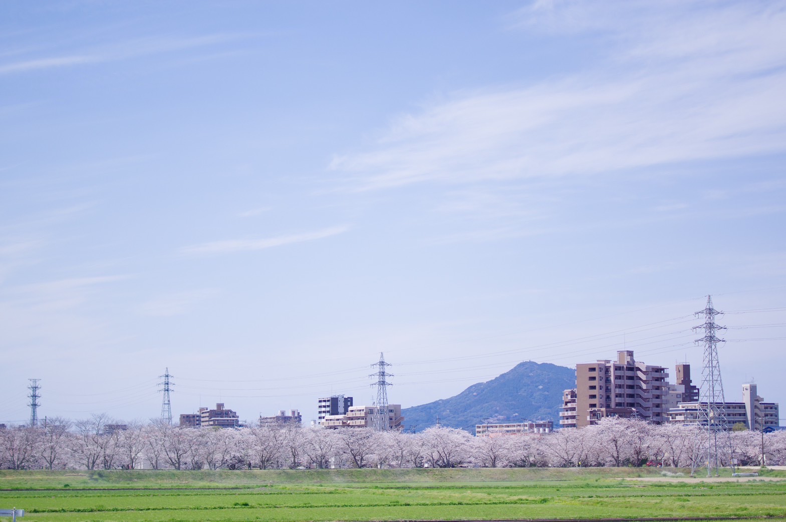 哲学