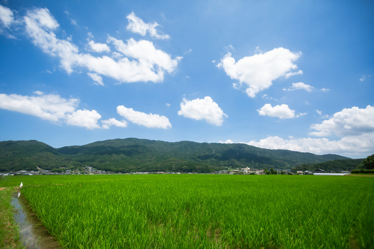 福岡市早良区・脇山の田んぼと山並み