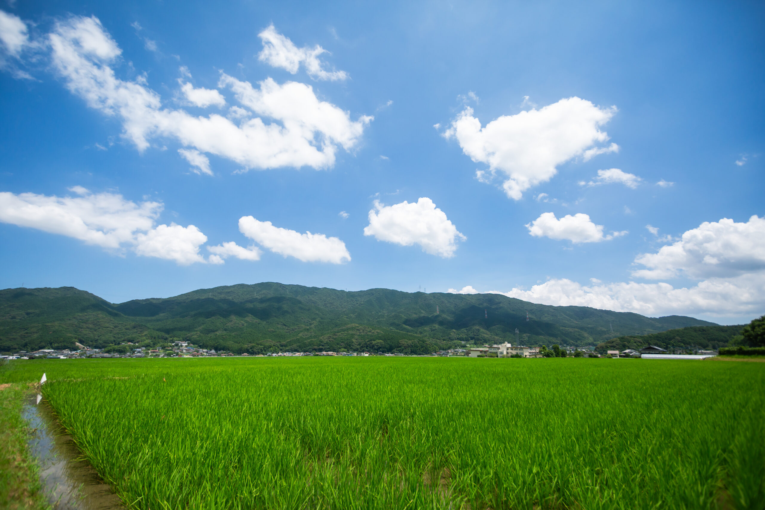 福岡市早良区・脇山に広がる田んぼと空